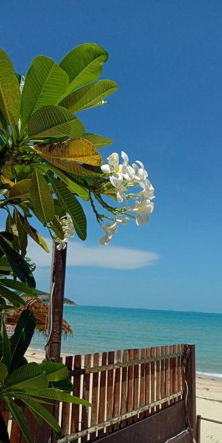 Lipa Bay Resort Lipanoj Kültér fotó